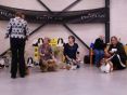 Dogshow , 9 maanden oud