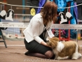 Shih-Tzu clubdag 2016,handler Melanie vd Ende