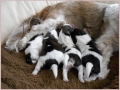 Samen met onze mama